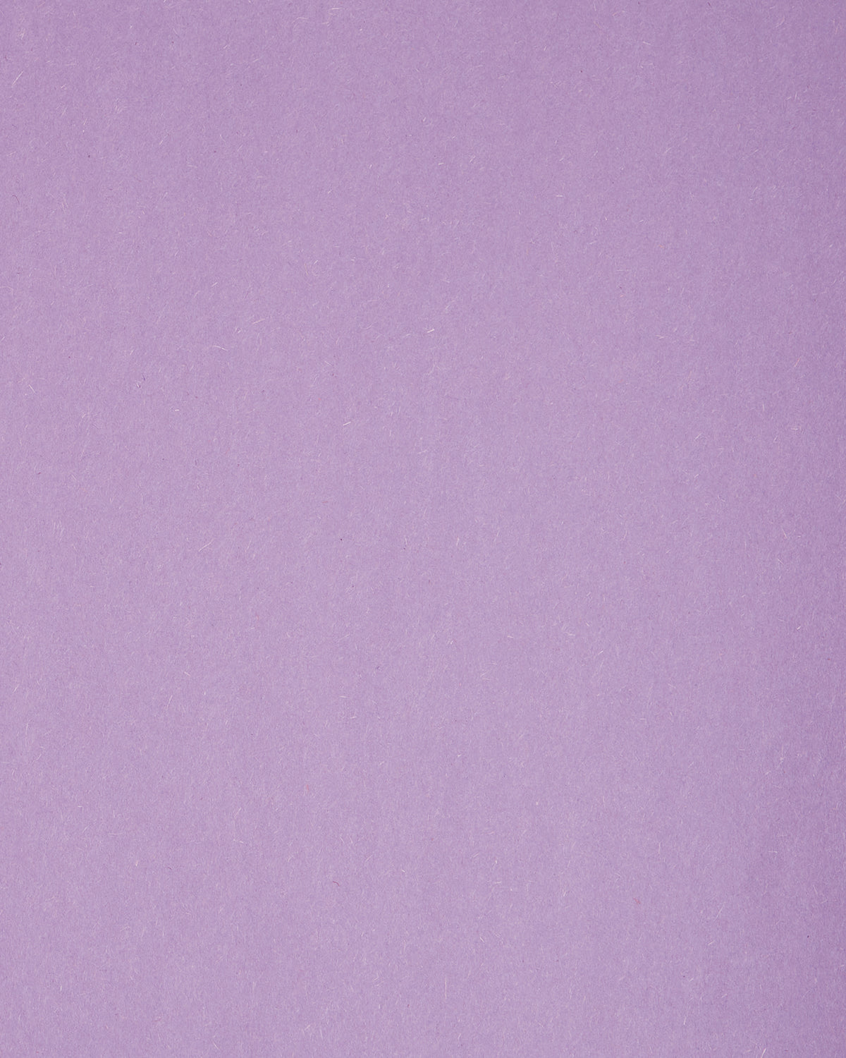 Decorative image of a lilac tile to serve as the background color of the text.